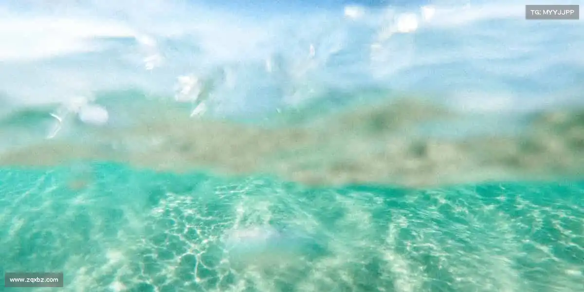 我们的核心竞争力